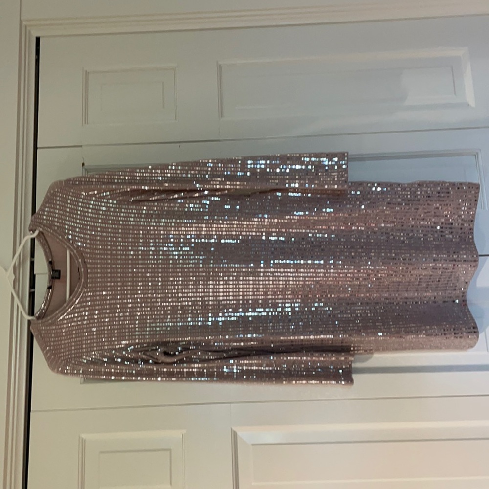 Silver sequin with muave color, size L, worn once